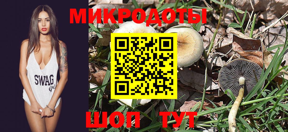 Ноябрьск  Псилоцибиновые грибы MAGIC MUSHROOMS  Вход с VPN 